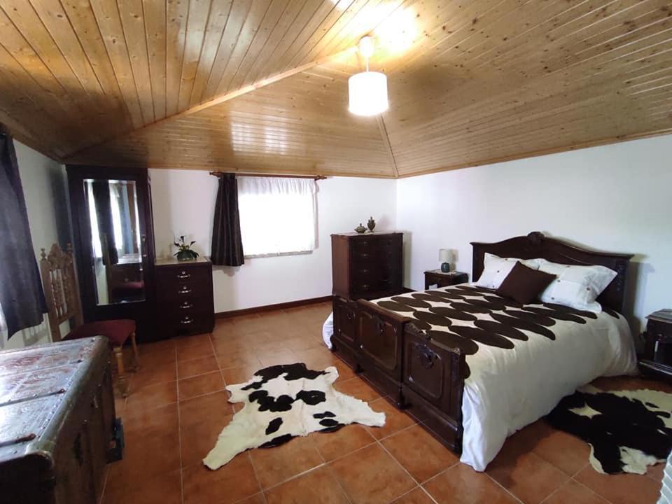 Casa Do Canastro Vouzela Dış mekan fotoğraf